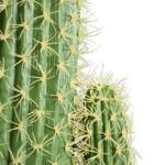TRICHOCEREEAE CACTUS 20132 Τεχνητό Διακοσμητικό Φυτό Κλειστόκακτος Υ140cm