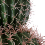 FEROCACTUS 20136 Τεχνητό Διακοσμητικό Φυτό Φερόκακτος Υ55cm
