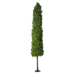 BUXUS 20158 Τεχνητό Διακοσμητικό Φυτό Πυξός Υ250cm