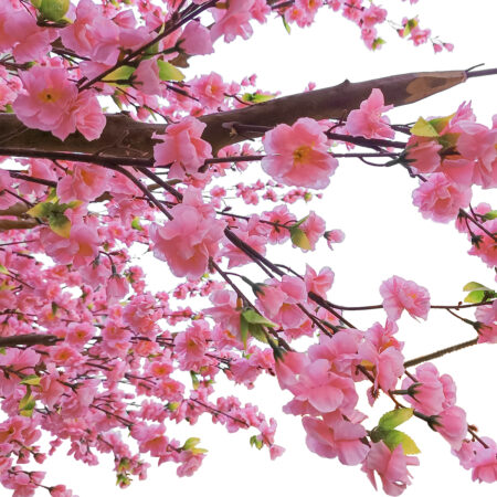 PEACH BLOSSOM TREE 20159 Τεχνητό Διακοσμητικό Δέντρο Ανθισμένη Ροδακινιά Υ340cm - Τεχνητα Ανθισμένα Δεντρα Sticky 1