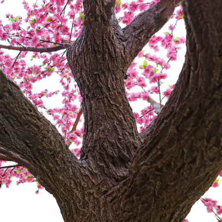 PEACH BLOSSOM TREE 20159 Τεχνητό Διακοσμητικό Δέντρο Ανθισμένη Ροδακινιά Υ340cm - Τεχνητα Ανθισμένα Δεντρα Sticky 2