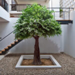 BANYAN FICUS TREE 20160 Τεχνητό Διακοσμητικό Δέντρο Ινδική Συκιά Φίκος Υ340cm