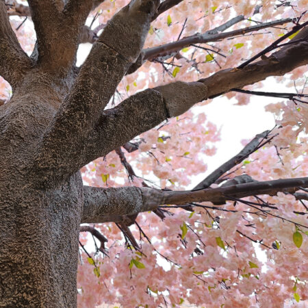 CHERRY PRUNUS BLOSSOM TREE 20167 Τεχνητό Διακοσμητικό Δέντρο Άνθος Κερασιάς Προύμνη Υ400cm - Τεχνητα Ανθισμένα Δεντρα Sticky 2
