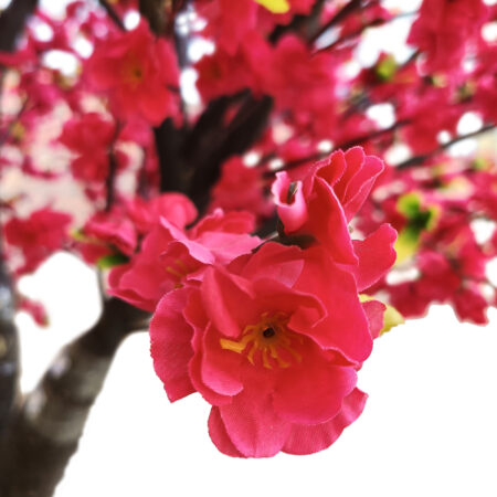 PEACH BLOSSOM TREE 20168 Τεχνητό Διακοσμητικό Δέντρο Ανθισμένη Ροδακινιά Υ300cm - Τεχνητα Ανθισμένα Δεντρα Sticky 1