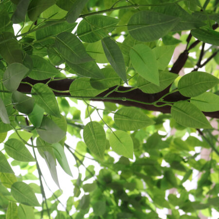 BANYAN FICUS TREE 20186 Τεχνητό Διακοσμητικό Δέντρο Ινδική Συκιά Φίκος Υ320cm - Τεχνητοι Φικοι Sticky 1