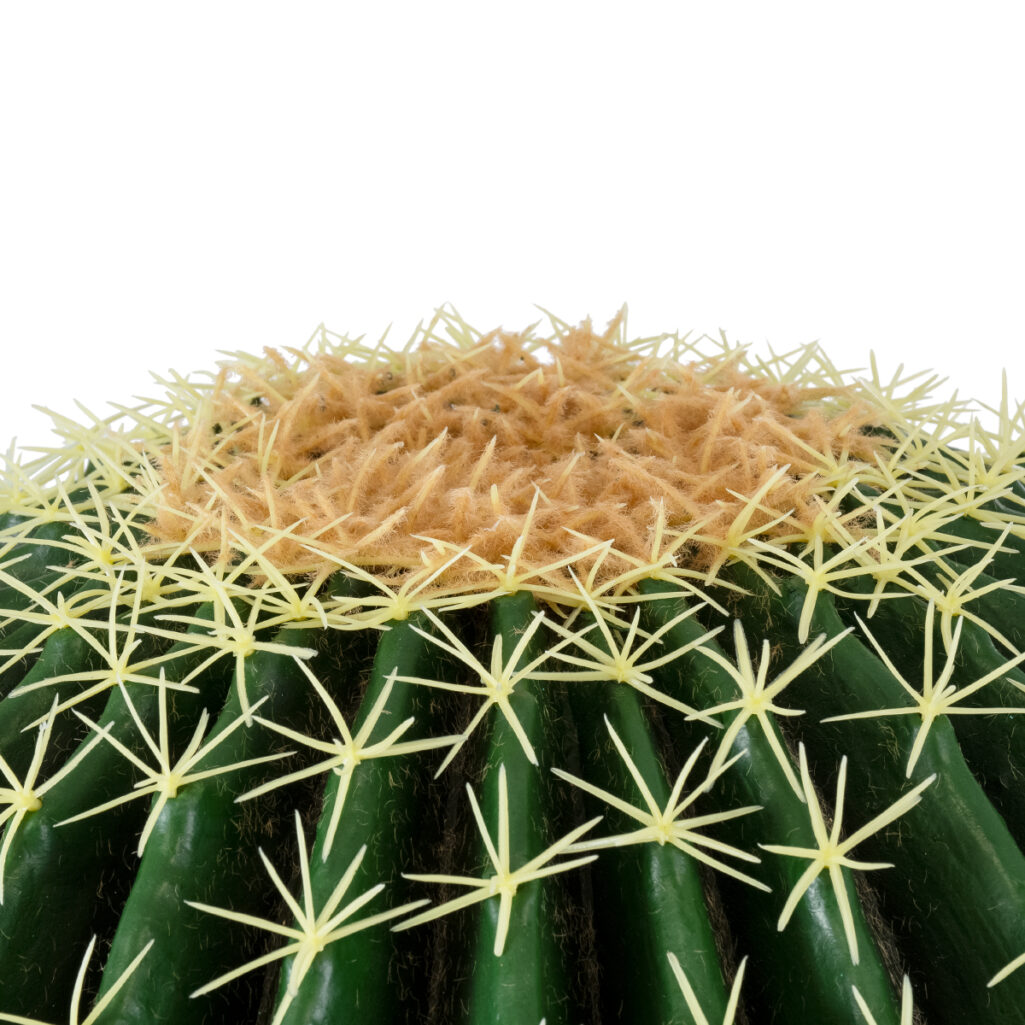 FEROCACTUS 20191 Τεχνητό Διακοσμητικό Φυτό Φερόκακτος Υ50cm