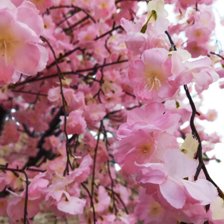 CHERRY BLOSSOM TREE 20212 Τεχνητό Διακοσμητικό Δέντρο Άνθος Κερασιάς Υ300cm - Τεχνητα Ανθισμένα Δεντρα Sticky 1