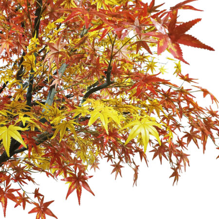 AUTUMN MAPLE TREE 20360 Τεχνητό Διακοσμητικό Δέντρο Φθινοπωρινός Σφένδαμος Υ350cm - Τεχνητα Ανθισμένα Δεντρα Sticky 1