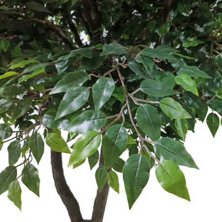 BANYAN FICUS TREE 20361 Τεχνητό Διακοσμητικό Δέντρο Ινδική Συκιά Φίκος Υ300cm - Τεχνητοι Φικοι Sticky 1
