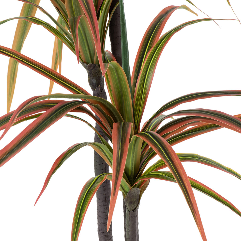 DRAGON BLOOD TREE 20370 - Τεχνητό Διακοσμητικό Φυτό Δράκαινα Υ150cm