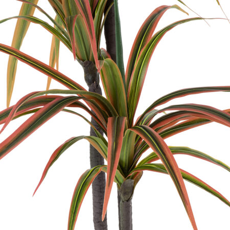 DRAGON BLOOD TREE 20371 - Τεχνητό Διακοσμητικό Φυτό Δράκαινα Υ220cm - Τεχνητες Δρακαινες και Γιουκα Sticky 1