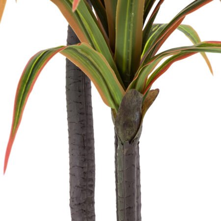 DRAGON BLOOD TREE 20371 - Τεχνητό Διακοσμητικό Φυτό Δράκαινα Υ220cm - Τεχνητες Δρακαινες και Γιουκα Sticky 2