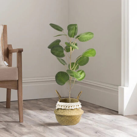 POLYSCIAS BALFOURIANA TREE 20373 Τεχνητό Διακοσμητικό Φυτό Πολυσκιά Υ70cm - Τροπικα και Ιδιαιτερα Τεχνητα φυτα Sticky 4