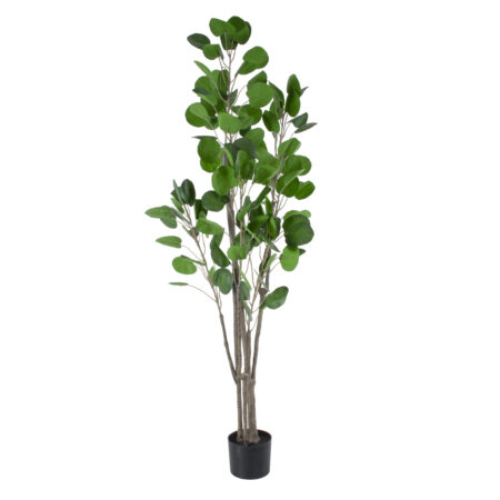 POLYSCIAS BALFOURIANA TREE 20375 Τεχνητό Διακοσμητικό Φυτό Πολυσκιά Υ180cm - Τροπικα και Ιδιαιτερα Τεχνητα φυτα