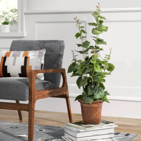 VITIS GRAPE TREE 20379 Τεχνητό Διακοσμητικό Φυτό Άμπελος Υ90cm - Τεχνητά Φυτά και Δέντρα Sticky 4