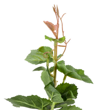 VITIS GRAPE TREE 20379 Τεχνητό Διακοσμητικό Φυτό Άμπελος Υ90cm - Τεχνητά Φυτά και Δέντρα Sticky 2