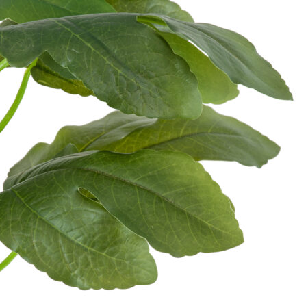 FIG TREE 20380 Τεχνητό Διακοσμητικό Φυτό Συκιά Υ50cm - Τεχνητα Καρποφορα δέντρα Sticky 1