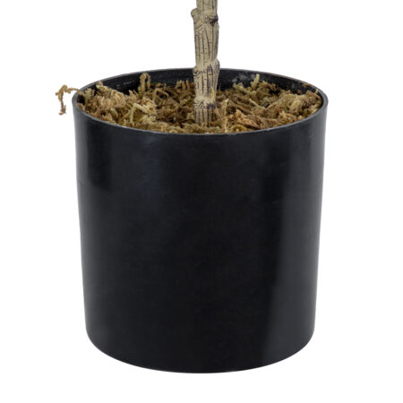 FIG TREE 20380 Τεχνητό Διακοσμητικό Φυτό Συκιά Υ50cm - Τεχνητα Καρποφορα δέντρα Sticky 4