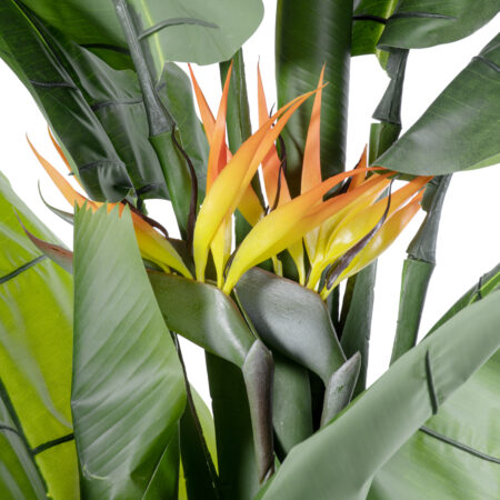 BANANA STRELITZIA REGINAE 20381 - Τεχνητό Διακοσμητικό Φυτό  Μπανανιά - Στρελίτσια - Πουλί του Παραδείσου Υ230cm - Τεχνητες Στρελιτσιες (Πουλι παραδεισου) Sticky 2