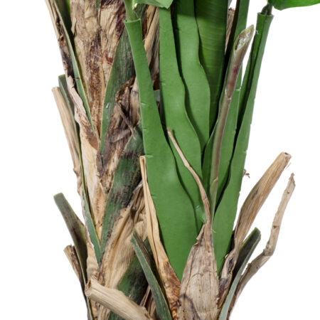 BANANA STRELITZIA REGINAE 20381 - Τεχνητό Διακοσμητικό Φυτό  Μπανανιά - Στρελίτσια - Πουλί του Παραδείσου Υ230cm - Τεχνητες Στρελιτσιες (Πουλι παραδεισου) Sticky 3