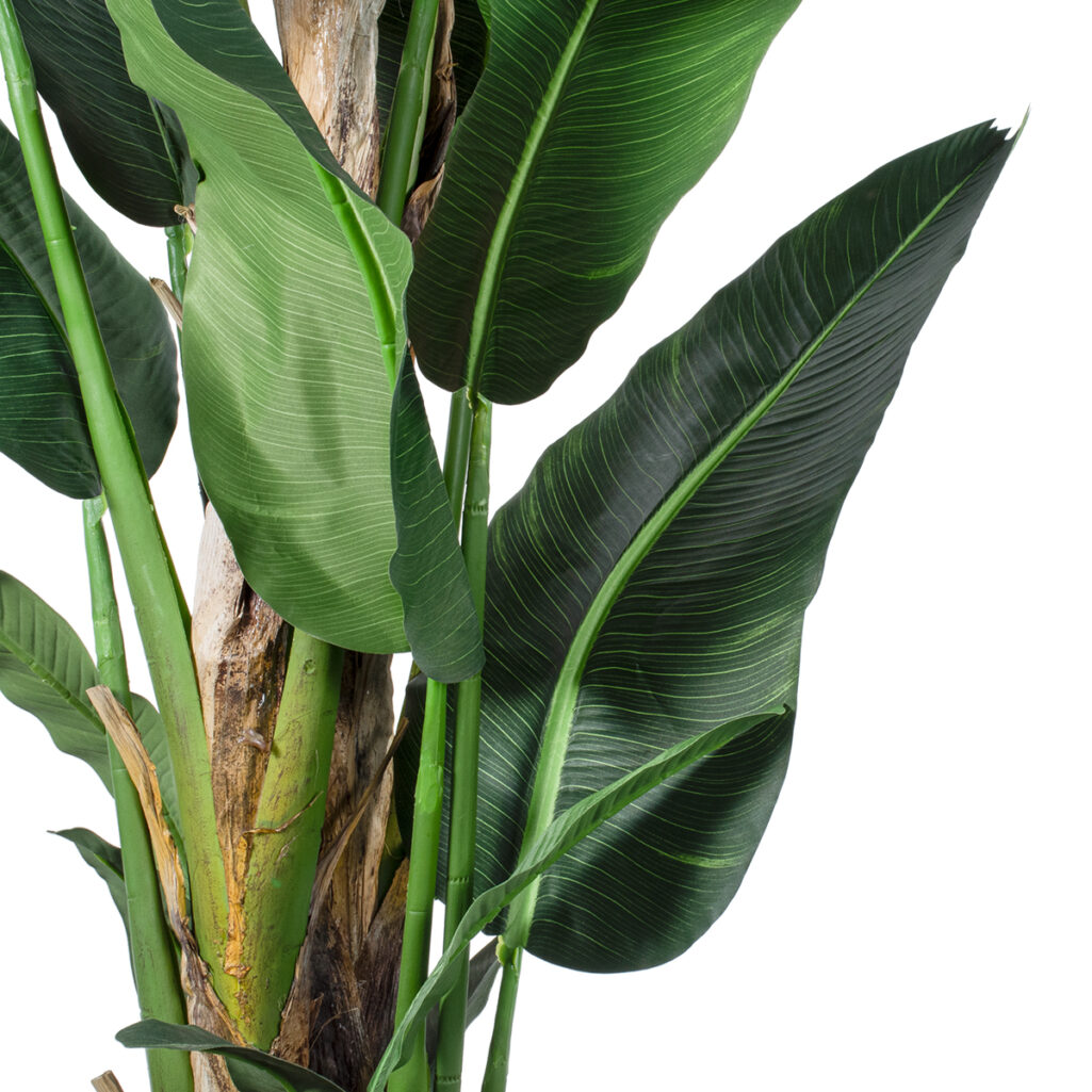 BANANA TREE 20382 - Τεχνητό Διακοσμητικό Φυτό  Μπανανιά Υ300cm