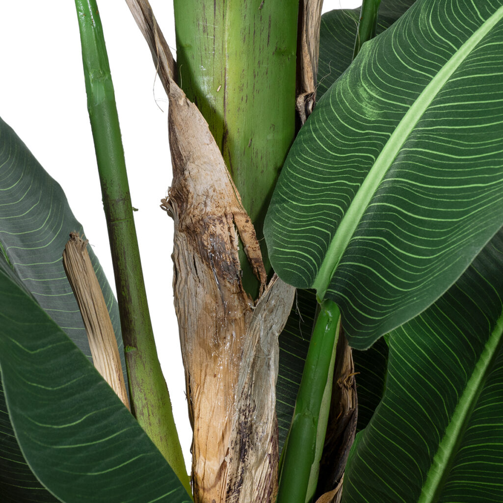 BANANA TREE 20382 - Τεχνητό Διακοσμητικό Φυτό  Μπανανιά Υ300cm