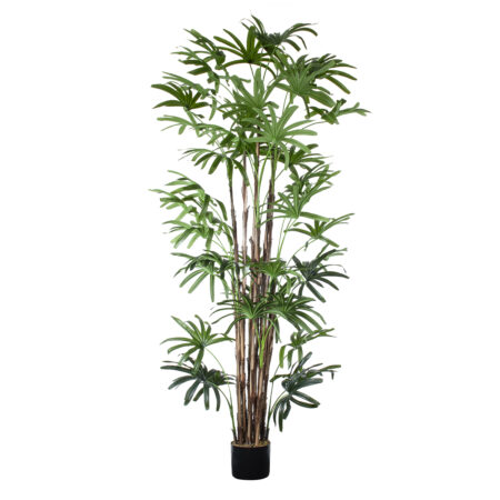 BROADLEAF LADY PALM TREE 20384 Τεχνητό Διακοσμητικό Φυτό Πλατύφυλλος Φοίνικας Μπαμπού Υ300cm - Τεχνητα Μπαμπου