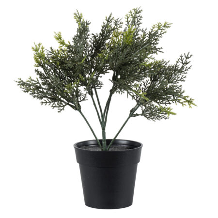 LEMON CYPRESS 20389 Τεχνητό Διακοσμητικό Φυτό Λεμονόκυπάρισσο Υ30cm - 