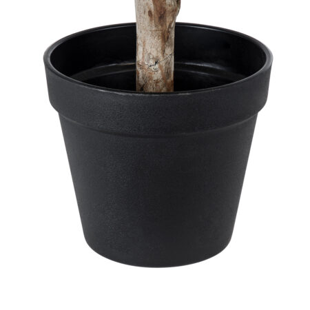 FICUS BENJAMINA TREE 20397 Τεχνητό Διακοσμητικό Φυτό Φίκος Μπενζαμίνη Υ35cm - Τεχνητοι Φικοι Sticky 3