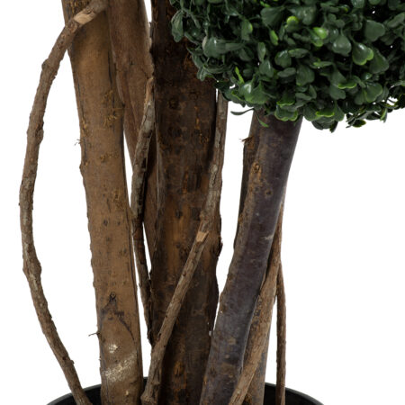 BUXUS 20403 Τεχνητό Διακοσμητικό Φυτό Πυξός Υ150cm - Τεχνητα Κωνοφορα και διαμορφωμενα φυτα Sticky 2