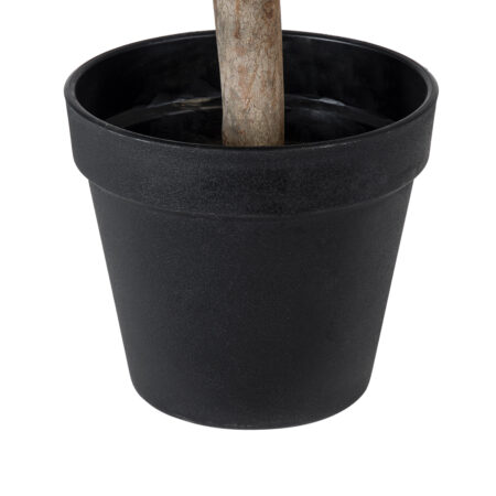 BUXUS 20404 Τεχνητό Διακοσμητικό Φυτό Πυξός Υ35cm - Τεχνητα Κωνοφορα και διαμορφωμενα φυτα Sticky 3