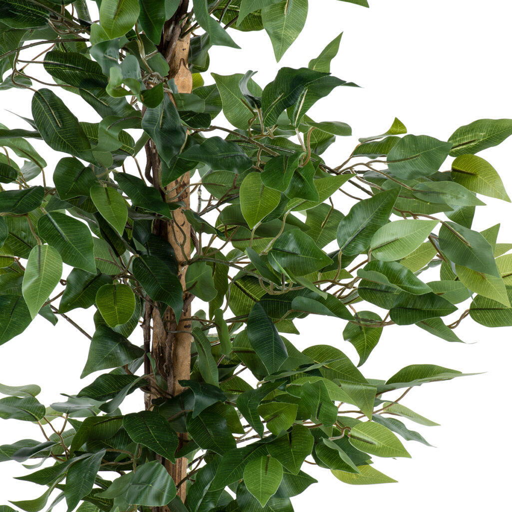 FICUS BENJAMINA TREE 20416 Τεχνητό Διακοσμητικό Φυτό Φίκος Μπενζαμίνη Υ180cm