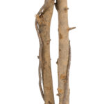 FICUS BENJAMINA TREE 20417 Τεχνητό Διακοσμητικό Φυτό Φίκος Μπενζαμίνη Υ210cm