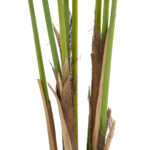 ARECA PALM TREE 20418 - Τεχνητό Διακοσμητικό Φυτό Φοινικόδεντρο Αρέκα Υ120cm