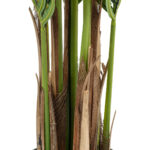 ARECA PALM TREE 20419 - Τεχνητό Διακοσμητικό Φυτό Φοινικόδεντρο Αρέκα Υ150cm