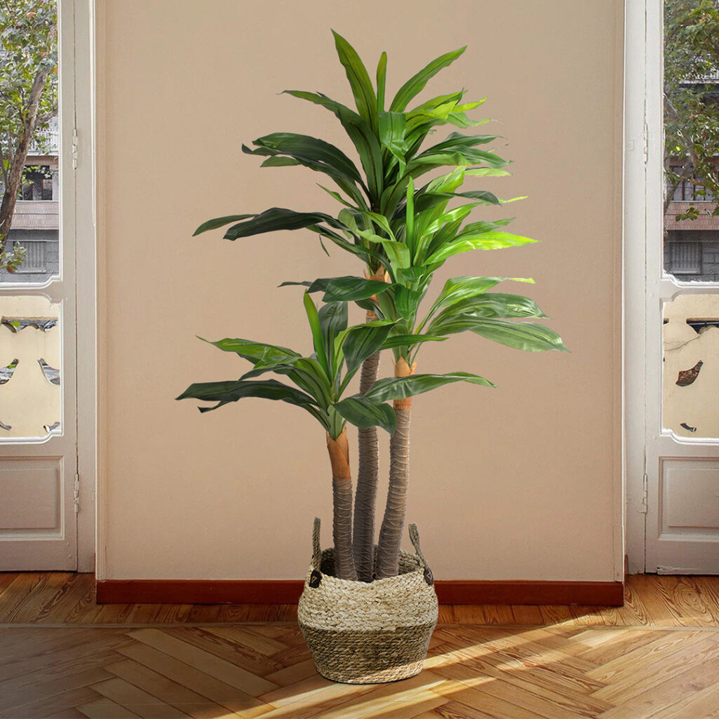DRACAENA YUCCA 20422 - Τεχνητό Διακοσμητικό Φυτό Δράκαινα Γιούκα Υ120cm