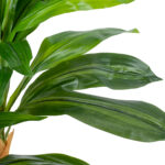 DRACAENA YUCCA 20422 - Τεχνητό Διακοσμητικό Φυτό Δράκαινα Γιούκα Υ120cm