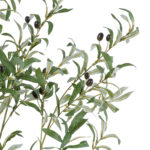 OLIVE TREE 20423 Τεχνητό Διακοσμητικό Δέντρο Ελιά Υ170cm