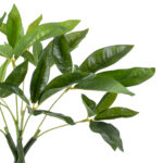 PACHIRA GLABRA 20428 Τεχνητό Διακοσμητικό Φυτό Παχίρα της Τύχης Υ50cm