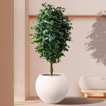 FICUS BENJAMINA TREE 20432 Τεχνητό Διακοσμητικό Φυτό Φίκος Μπενζαμίνη Υ300cm - Τεχνητοι Φικοι Sticky 3