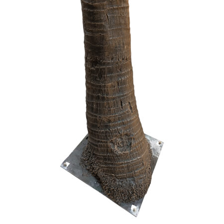 COCONUT PALM TREE 20594 Τεχνητό Διακοσμητικό Φοινικόδεντρο Κοκοφοίνικας Υ500cm - Τεχνητοι Φοινικες Sticky 1