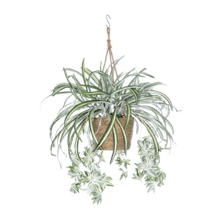 CHLOROPHYTUM COMOSUM HANGING PLANT 20638 Τεχνητό Κρεμαστό Διακοσμητικό Χλωρόφυτο Y50cm - Πρασινάδες - Κρεμαστά φυτά Sticky 1