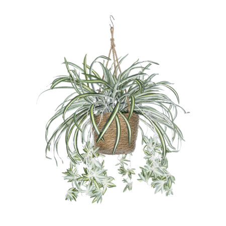 CHLOROPHYTUM COMOSUM HANGING PLANT 20638 Τεχνητό Κρεμαστό Διακοσμητικό Χλωρόφυτο  Y50cm - Πρασινάδες - Κρεμαστά φυτά Sticky 2