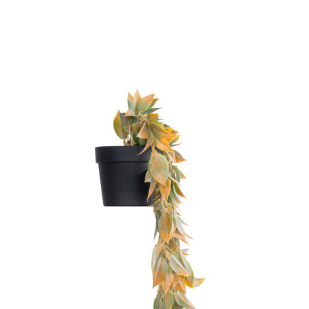 HANGING POMELO LEAF 20871 - Τεχνητό Κρεμαστό Διακοσμητικό Φυτό Φύλλο Πομέλο  Φ17 x Y50cm -  Sticky 2
