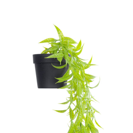 HANGING CAMELIA LEAF 20879 - Τεχνητό Κρεμαστό Διακοσμητικό Φυτό Φύλλο Καμέλιας Φ31 x Y80cm -  Sticky 2