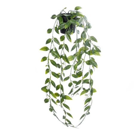 HANGING DUTCH BEAN 20883 - Τεχνητό Κρεμαστό Διακοσμητικό Φυτό Ολλανδικό Φασόλι Φ28 x Y70cm - 