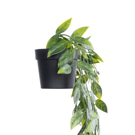 HANGING DUTCH BEAN 20883 - Τεχνητό Κρεμαστό Διακοσμητικό Φυτό Ολλανδικό Φασόλι Φ28 x Y70cm -  Sticky 2