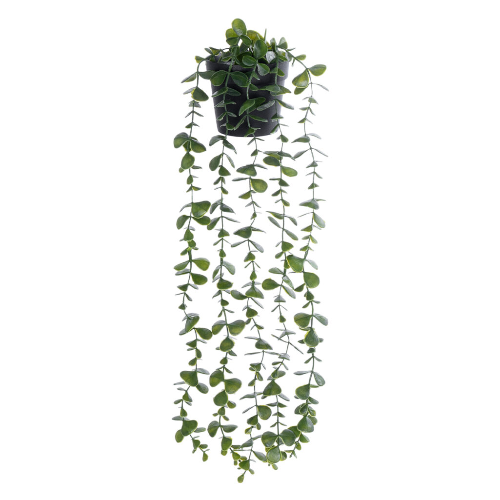 HANGING EUCALYPTUS LEAF 20884 - Τεχνητό Κρεμαστό Διακοσμητικό Φυτό Φύλλα Ευκάλυπτου Φ17 x Y60cm