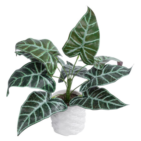 ALOCASIA 20886 Τεχνητό Διακοσμητικό Φυτό Αλοκασία Φ38 x Υ33cm - 