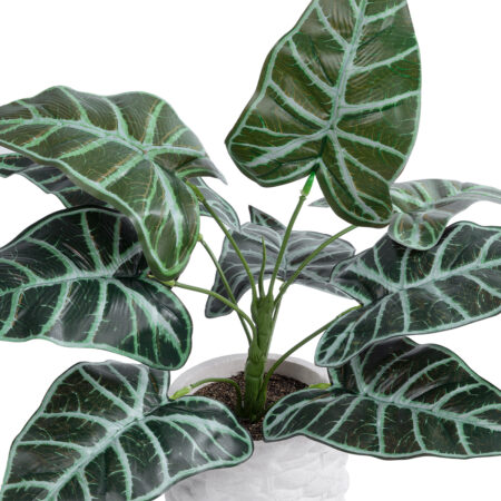 ALOCASIA 20886 Τεχνητό Διακοσμητικό Φυτό Αλοκασία Φ38 x Υ33cm -  Sticky 1